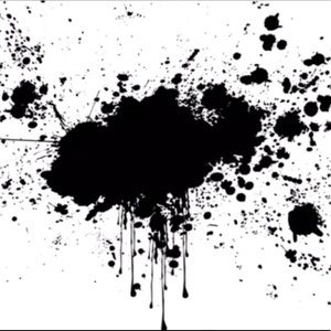 Meet your Posher, Peyton